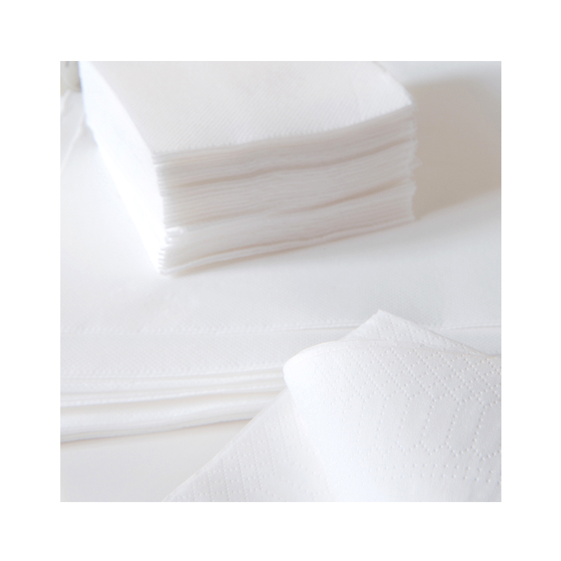 Serviette en papier blanc 30 x 30 cm x 100, serviettes jetables - Badaboum