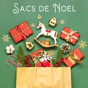 sac_noel_site